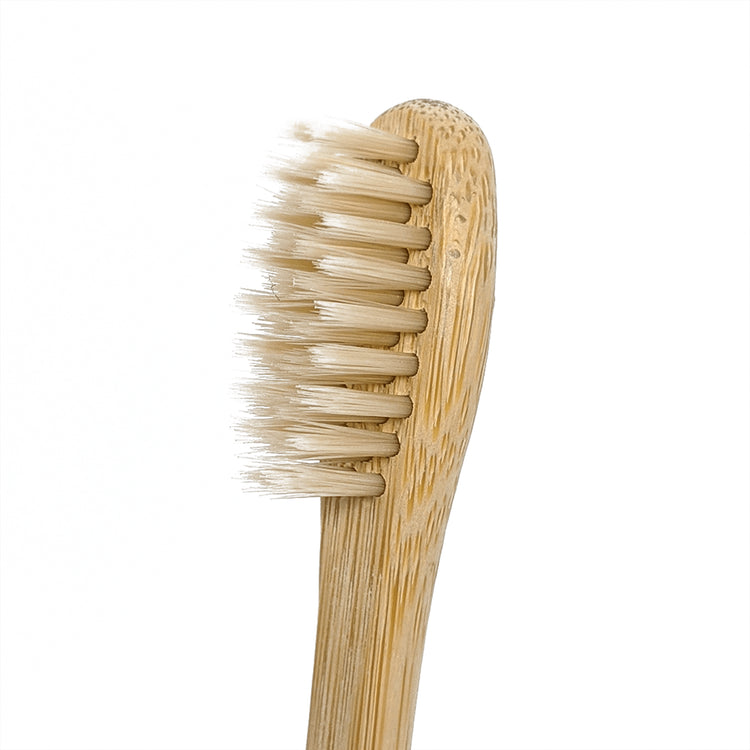 ななか⭐︎歯ブラシ 機能性×ファッション性”カラフルでSNS映えの歯ブラシ 【HAIKARA