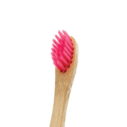 子供・女性向け「竹」歯ブラシ　4本セット - WannaBee エコショップ