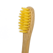 「竹」歯ブラシ　4本セット - WannaBee エコショップ
